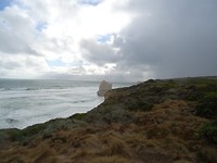 DSC02549