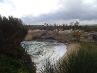 DSC02556