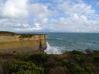 DSC02561