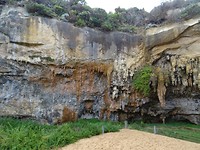 DSC02571