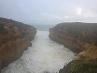 IMG_7131
