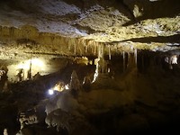DSC02635