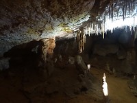 DSC02645