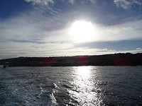 DSC02679