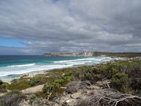 DSC02696