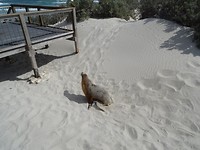 DSC02711