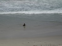 DSC02713