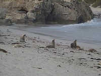 DSC02730
