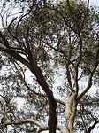 DSC02762