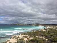 IMG_7178