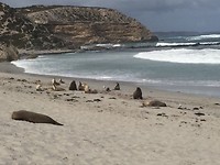 IMG_7189