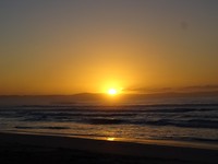 DSC02794