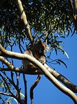 DSC02817