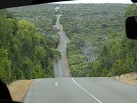 DSC02869