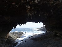 DSC02910