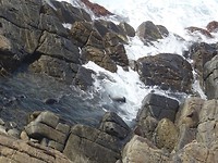 DSC02921
