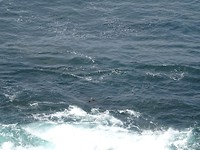DSC02926