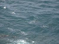 DSC02927
