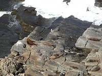 DSC02936