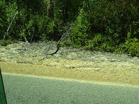 DSC02937