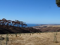 DSC02940