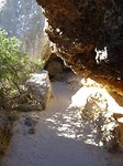 DSC02950
