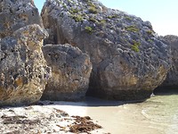 DSC02954