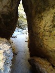 DSC02959