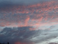 DSC02964
