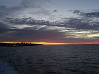 DSC02970
