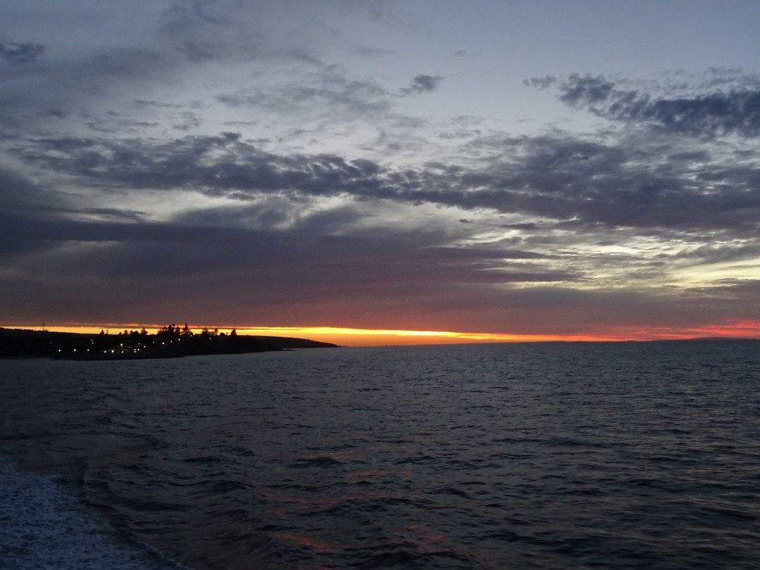 DSC02970