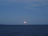 DSC02971