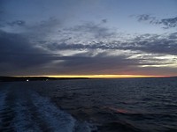 DSC02974