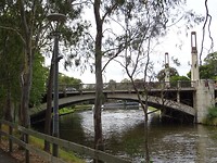 DSC02981
