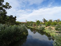 DSC02996