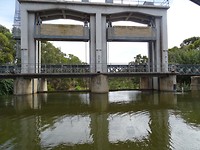 DSC03016
