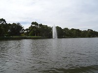 DSC03019