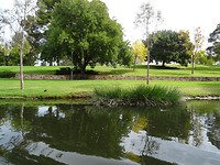 DSC03027