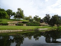 DSC03029