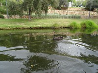 DSC03030