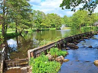 Camperplek in Sittensen