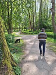 Park naast de camper plek