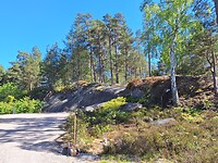1000064432