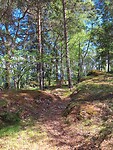 Sundvall