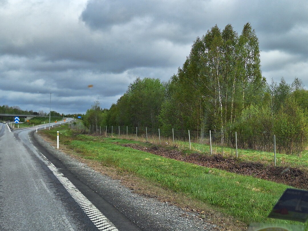 Hekken langs de route