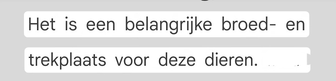 Tekst bij de zalm