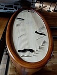 Heel bijzonder muziekinstrument