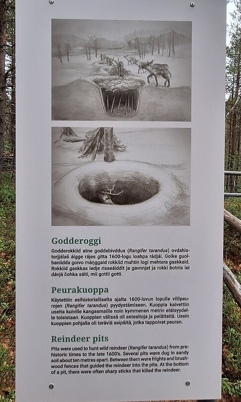 Rendierenkuil