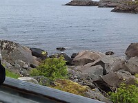 Flinke keien/ rotsen