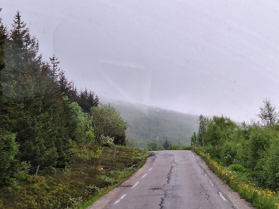 Mist